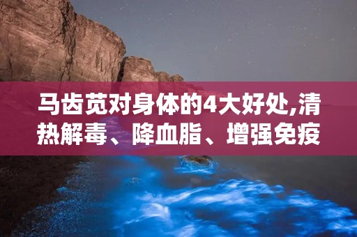 马齿苋对身体的4大好处,清热解毒、降血脂、增强免疫力、改善消化系统四大益处