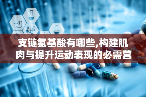 支链氨基酸有哪些,构建肌肉与提升运动表现的必需营养素