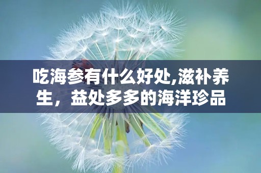 吃海参有什么好处,滋补养生，益处多多的海洋珍品