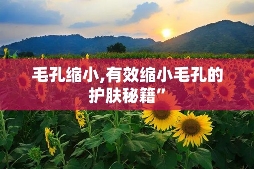 毛孔缩小,有效缩小毛孔的护肤秘籍”