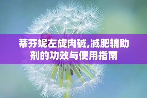 蒂芬妮左旋肉碱,减肥辅助剂的功效与使用指南