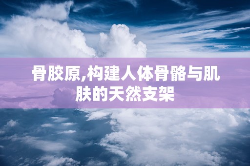 骨胶原,构建人体骨骼与肌肤的天然支架