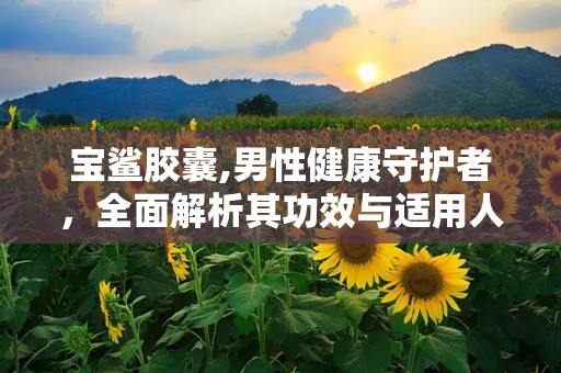 宝鲨胶囊,男性健康守护者，全面解析其功效与适用人群