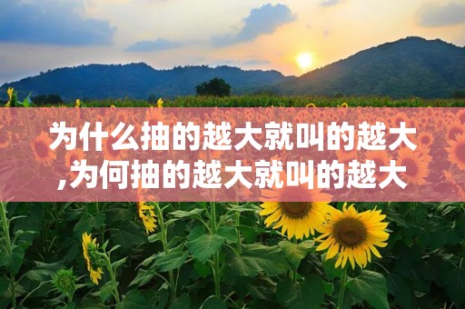 为什么抽的越大就叫的越大,为何抽的越大就叫的越大？”