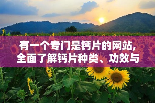 有一个专门是钙片的网站,全面了解钙片种类、功效与选购指南