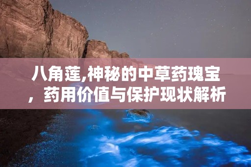 八角莲,神秘的中草药瑰宝，药用价值与保护现状解析”