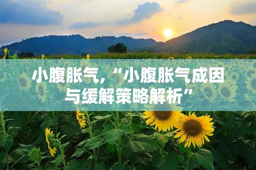 小腹胀气,“小腹胀气成因与缓解策略解析”
