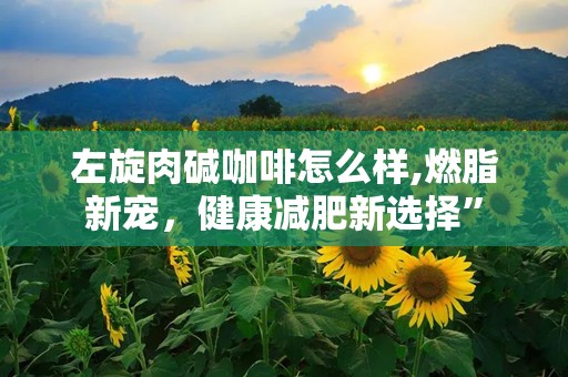 左旋肉碱咖啡怎么样,燃脂新宠，健康减肥新选择”