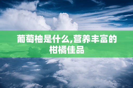 葡萄柚是什么,营养丰富的柑橘佳品