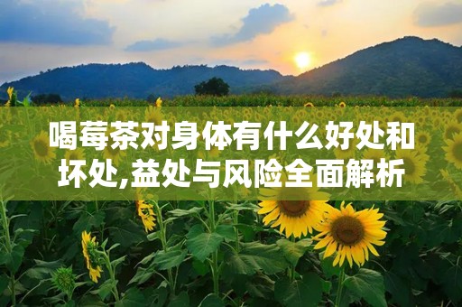 喝莓茶对身体有什么好处和坏处,益处与风险全面解析