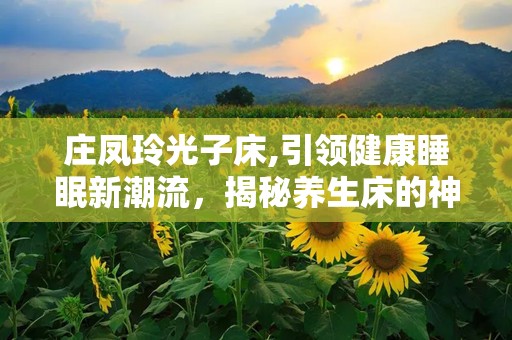 庄凤玲光子床,引领健康睡眠新潮流，揭秘养生床的神奇功效与价格解析”