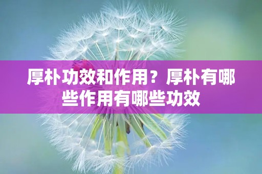 厚朴功效和作用？厚朴有哪些作用有哪些功效