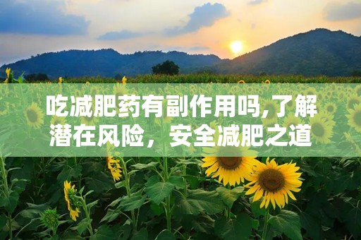吃减肥药有副作用吗,了解潜在风险，安全减肥之道