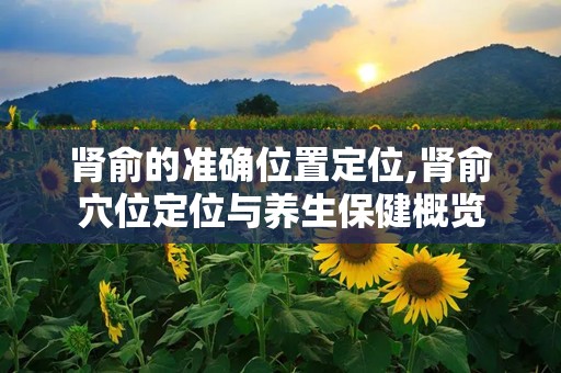 肾俞的准确位置定位,肾俞穴位定位与养生保健概览