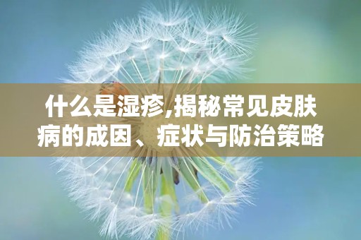 什么是湿疹,揭秘常见皮肤病的成因、症状与防治策略