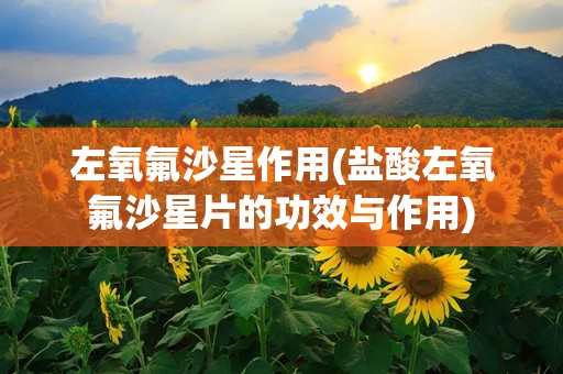 左氧氟沙星作用(盐酸左氧氟沙星片的功效与作用)