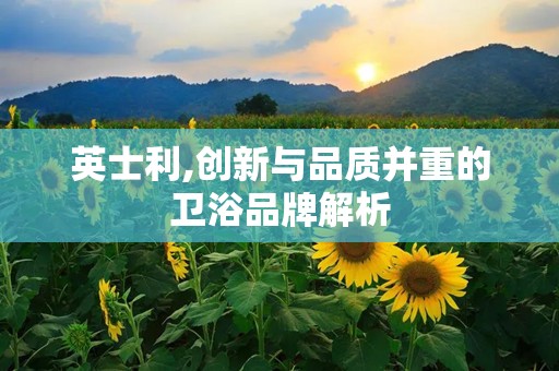 英士利,创新与品质并重的卫浴品牌解析