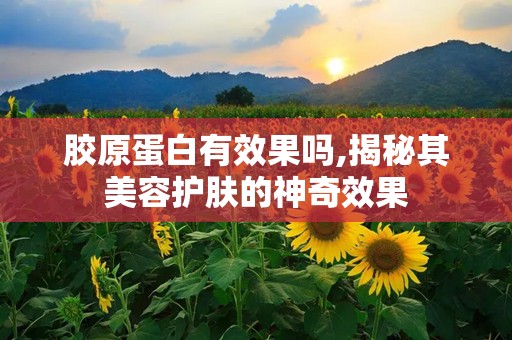 胶原蛋白有效果吗,揭秘其美容护肤的神奇效果