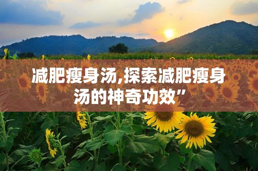 减肥瘦身汤,探索减肥瘦身汤的神奇功效”