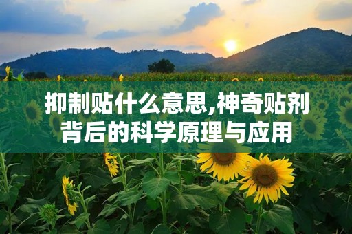 抑制贴什么意思,神奇贴剂背后的科学原理与应用