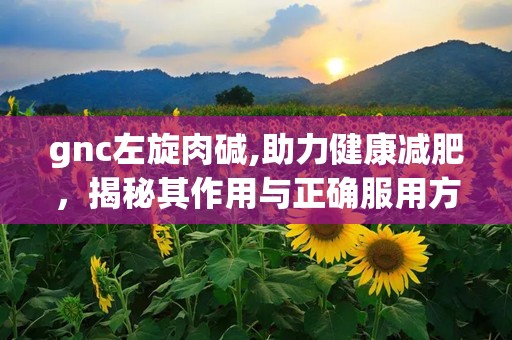 gnc左旋肉碱,助力健康减肥，揭秘其作用与正确服用方法”