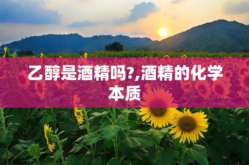 乙醇是酒精吗?,酒精的化学本质