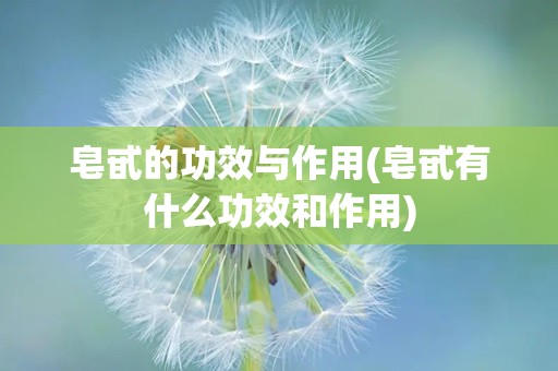皂甙的功效与作用(皂甙有什么功效和作用)