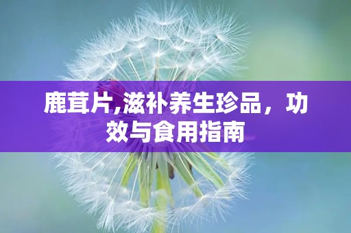 鹿茸片,滋补养生珍品，功效与食用指南