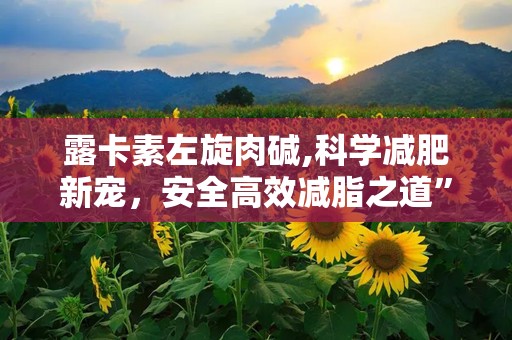 露卡素左旋肉碱,科学减肥新宠，安全高效减脂之道”