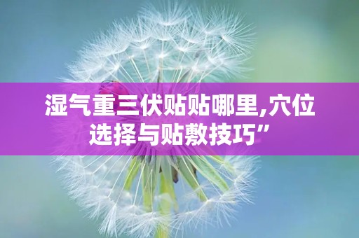 湿气重三伏贴贴哪里,穴位选择与贴敷技巧”