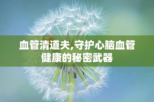 血管清道夫,守护心脑血管健康的秘密武器