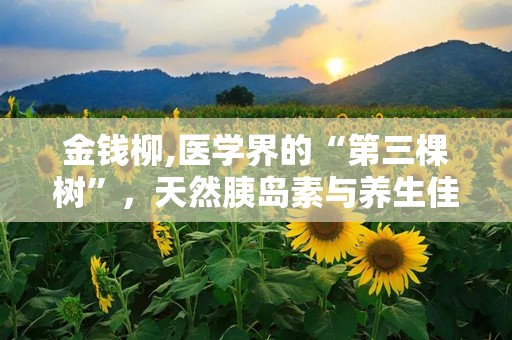 金钱柳,医学界的“第三棵树”，天然胰岛素与养生佳品