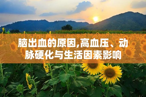 脑出血的原因,高血压、动脉硬化与生活因素影响