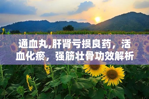 通血丸,肝肾亏损良药，活血化瘀，强筋壮骨功效解析”