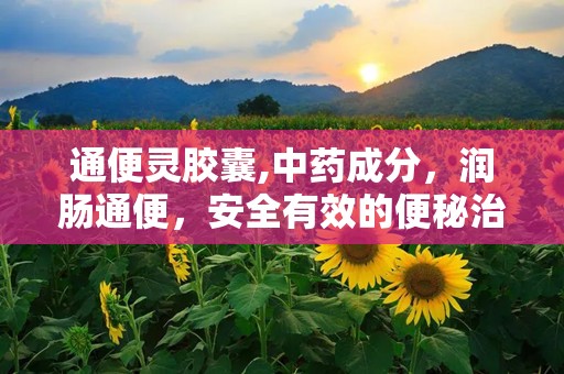通便灵胶囊,中药成分，润肠通便，安全有效的便秘治疗选择