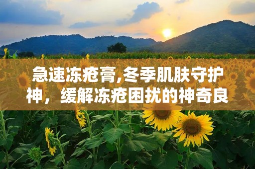 急速冻疮膏,冬季肌肤守护神，缓解冻疮困扰的神奇良药
