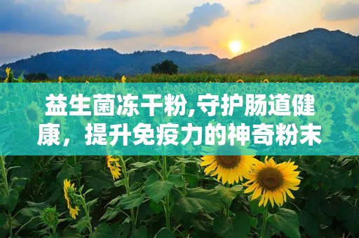 益生菌冻干粉,守护肠道健康，提升免疫力的神奇粉末