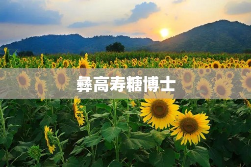 彝高寿糖博士