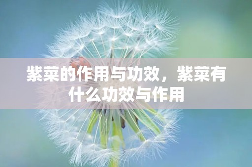 紫菜的作用与功效，紫菜有什么功效与作用
