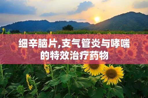 细辛脑片,支气管炎与哮喘的特效治疗药物
