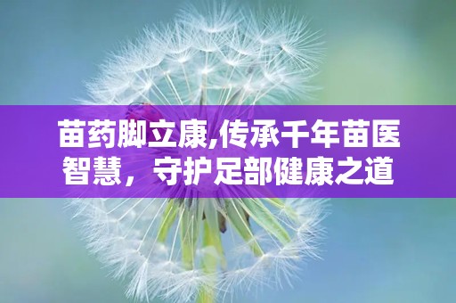 苗药脚立康,传承千年苗医智慧，守护足部健康之道