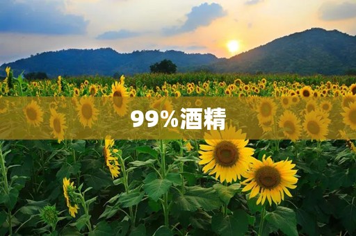 99%酒精