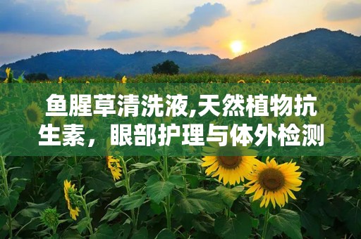 鱼腥草清洗液,天然植物抗生素，眼部护理与体外检测的守护者