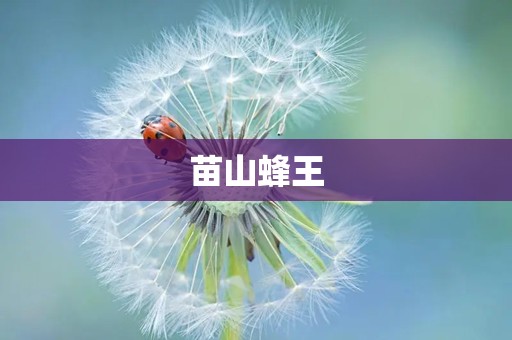 苗山蜂王