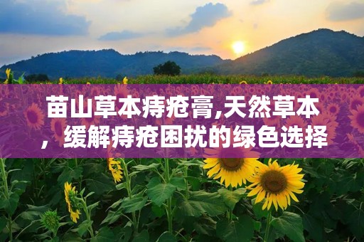 苗山草本痔疮膏,天然草本，缓解痔疮困扰的绿色选择”