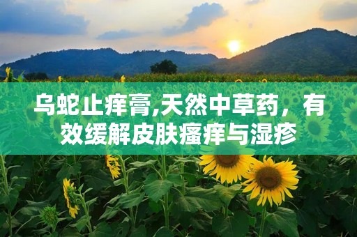 乌蛇止痒膏,天然中草药，有效缓解皮肤瘙痒与湿疹