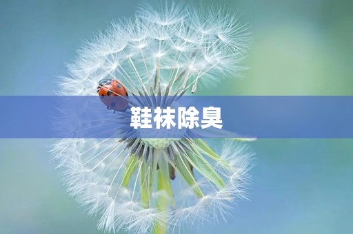 鞋袜除臭