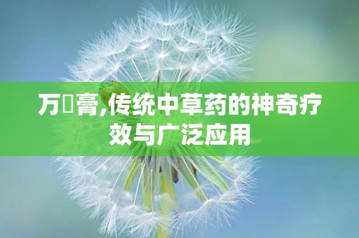 万應膏,传统中草药的神奇疗效与广泛应用