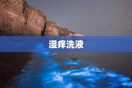 湿痒洗液