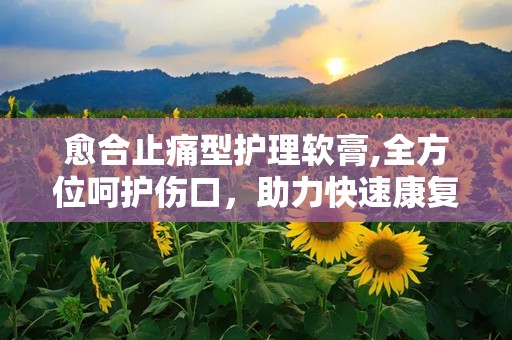 愈合止痛型护理软膏,全方位呵护伤口，助力快速康复
